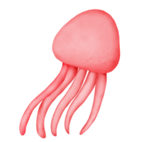 Jellyfish, animal, sea png