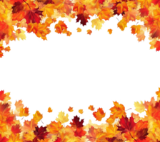 Autumn background with colourful frame of maple leaves, orange, yellow ,red.Beautiful fall leaves decorative border with copy space for text, png