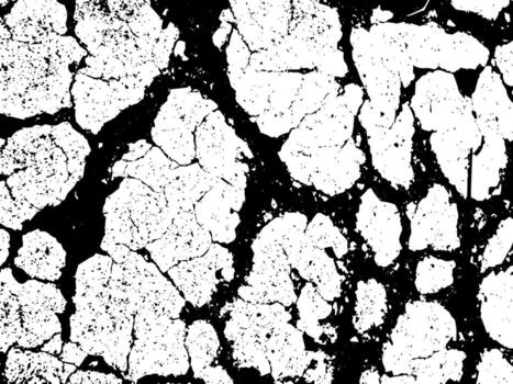 Rustic cracked vector texture with many cracks and scratches. Abstract background. Broken and damaged surface. Aged backdrop. Vector graphic illustration with transparent white.