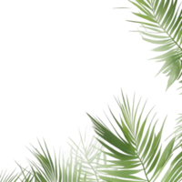 palm leaves background, palm leaves border, green leaves background, green background, green leaves border, green leaf border on transparent background png