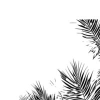 Palme Blätter schwarz Gliederung Rand mit transparent Hintergrund, Palme Baum Blätter, Palme Blätter Silhouette, Palme Blätter skizzieren Gliederung png