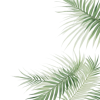 palm bladeren achtergrond, palm bladeren grens, groen bladeren achtergrond, groen achtergrond, groen bladeren grens, groen blad grens Aan transparant achtergrond png