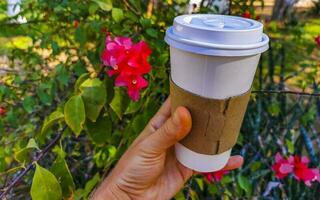 Coffee to go mug in the tropical maxican nature place. photo