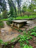 Decorative dolmen in Sochi arboretum. megalithic structure for the funeral ritual. photo