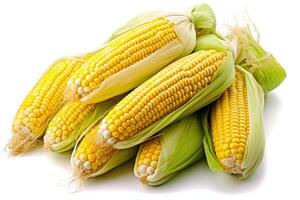 Tasty Corn on the Cob - a Savory Treat - photo