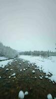 Fast flight along a mountain river surrounded by a snow-covered forest video