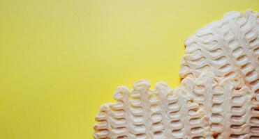 waffles on a yellow background, belgian waffles, homemade pastries, a place for text, a banner for a bakery photo