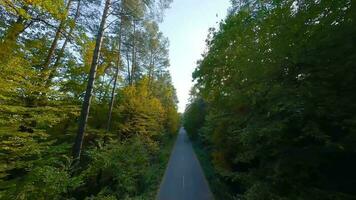 aéreo Visão do a outono floresta perto a estrada ao longo que a carros estão dirigindo. suave voar fechar para galhos com amarelo folhagem às pôr do sol video