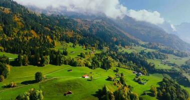 Antenne Aussicht von das schön Herbst schweizerisch Natur, Schweiz video