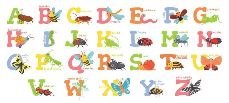 Cartoon insects alphabet. Funny bug letters, comic insect abc for kids and cute bugs vector illustration set. Educational english alphabet with colorful cartoon characters. Primary school education