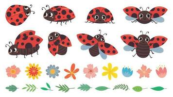 Cartoon ladybug. Cute ladybugs with flowers and leaves, red bug and insects vector illustration set. Funny lady bugs, flower buds and foliage pack. Childish flying beetle stickers collection