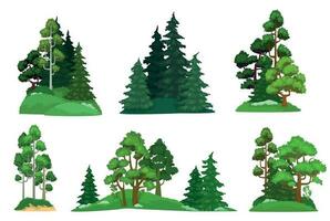 Forest trees. Green fir tree, forests pine composition and isolated trees cartoon vector illustration set