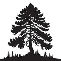 Pine tree vector silhouette, this is a pine tree vector silhouette