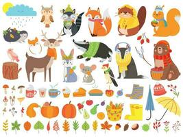 otoño bosque animales otoño ardilla, gracioso oso y linda otoñal zorro. caído hojas dibujos animados vector conjunto