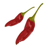 Chili hot pepper icon set. Red chilli cayenne peppers. Flat design. White background. Isolated. Vector illustration