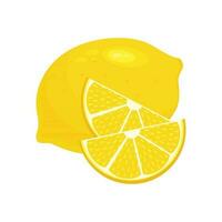 Lemon slices. Fresh citrus, half sliced lemons and chopped lemon. Cut lemons fruit slice and zest for lemonade juice or vitamin c logo. Isolated cartoon vector illustration icons set