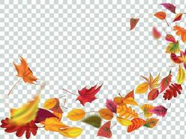 Autumn falling leaves. Leaf fall, wind rises autumnal foliage and yellow leaves isolated vector illustration