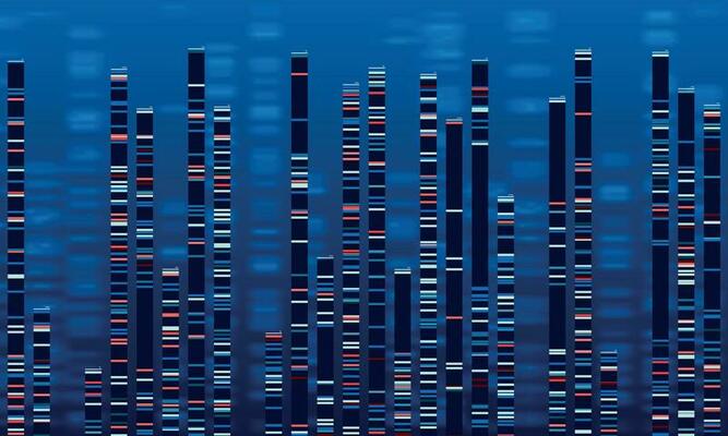 DNA data chart. Medicine test graphic, abstract genome sequences graph and genomics map vector illustration