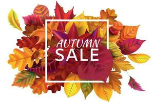 Fall sale banner. Autumn season sales, autumnal discount and fallen leaves banners frame vector illustration