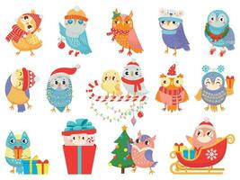 Winter owl. Cute christmas birds, owls in scarf and hat and bird mascot vector illustration set