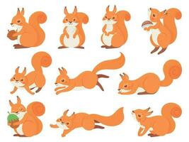 Cartoon squirrel. Cute squirrels with red furry tail, mammals animals and brown fur squirrel vector set. Adorable forest fauna, funny wildlife stickers collection. Playful cub illustrations pack