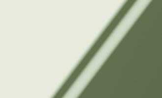 3d rendering, shadow overlay effect, greenery mock up. photo