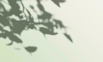 3d rendering, shadow overlay effect, greenery mock up. photo