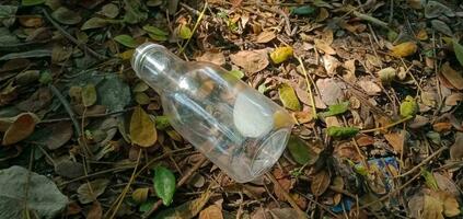 Empty Bottle on a Pile of Dry Leaves photo