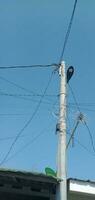photography of electric pole with lots of wires against blue sky background photo