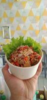 Food Photography - Rice Bowl Dish photo