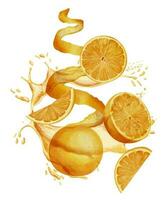 Orange Fruit slices with splash of Juice. Hand drawn watercolor illustration of citrus food on white isolated background for label or menu. Motion composition with tangerines. Sketch of mandarins. vector