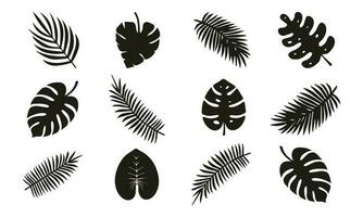 vector conjunto de palma hojas siluetas aislado en blanco antecedentes. vector ilustración