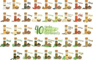 Set of 40 different culinary herbs, species and condiments in cartoon style. vector