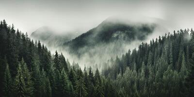 ai generado. ai generativo. foto realista ilustración de montañas bosque niebla Mañana místico. gráfico Arte