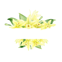 Frame of yellow vanilla flowers. Wreath with tropical exotic flowers. Watercolor illustration. Isolated. Flavoring for cooking. For greeting cards, postcard, scrapbooking, packaging design png