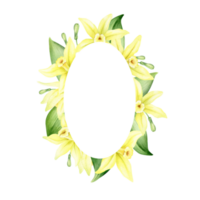 Frame of yellow vanilla flowers. Wreath with tropical exotic flowers. Watercolor illustration. Isolated. Flavoring for cooking. For greeting cards, postcard, scrapbooking, packaging design png