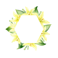 Frame of yellow vanilla flowers. Wreath with tropical exotic flowers. Watercolor illustration. Isolated. Flavoring for cooking. For greeting cards, postcard, scrapbooking, packaging design png