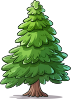 gran träd, skön jul träd. jul. vinter. natur i detaljer. teckning. png