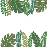 Tropical leaves frame png