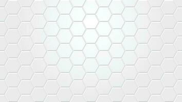 White hexagon tile pattern background - seamless wallpaper for your design and presentation vector