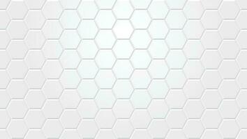 White hexagon tile pattern background - seamless wallpaper for your design and presentation vector