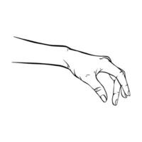 Hand drawn gesture sketch vector illustration line art