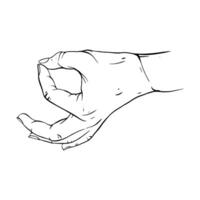 Hand drawn gesture sketch vector illustration line art