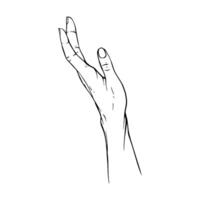 Hand drawn gesture sketch vector illustration line art