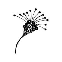 Branch of a wild flower with grains. Black and white simple hand drawn illustration. Suitable for creating printed products vector