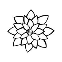 Hand drawn flower with many petals. Black lines and dots. simple floral element vector