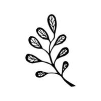 Twig with leaves. Single simple black element isolated on white background. vector hand drawn image