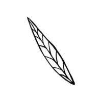 A simple leaf element with veins, the outline is drawn by hand. Black element isolated on white background vector