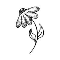 Simple hand drawn flower chamomile element. Can be used for printing products, greeting cards. flower silhouette vector