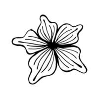 A simple silhouette of a flower with petals and jagged edges. Hand drawn, doodle style, black outline on a white background vector